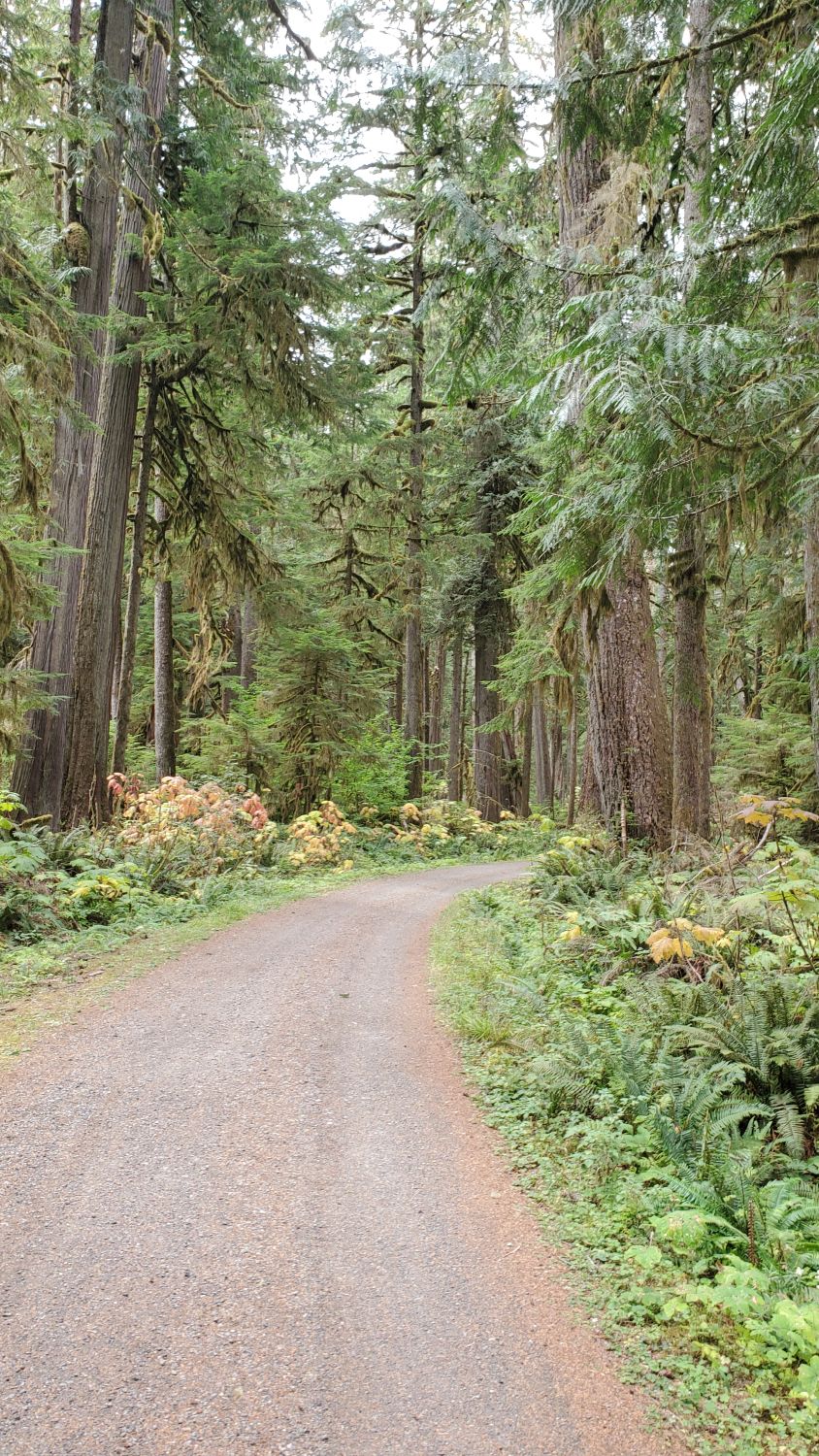 Mount Rainier NP 